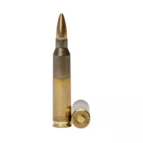 Am. Kul. GGG - 5,56x45 55gr FMJ - Opk. 50 szt. - 2