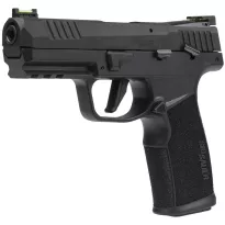 Sig Sauer P322 - 2