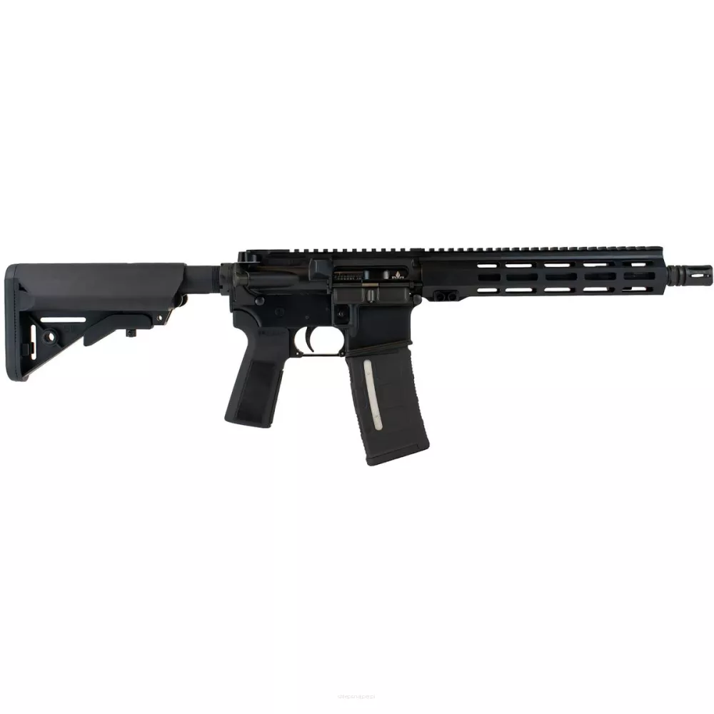 IWI Zion Z-15 10,5''