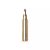 Am. Kul. Hornady Precision Hunter - .300 Win Mag 11,5g ELD-X - 2